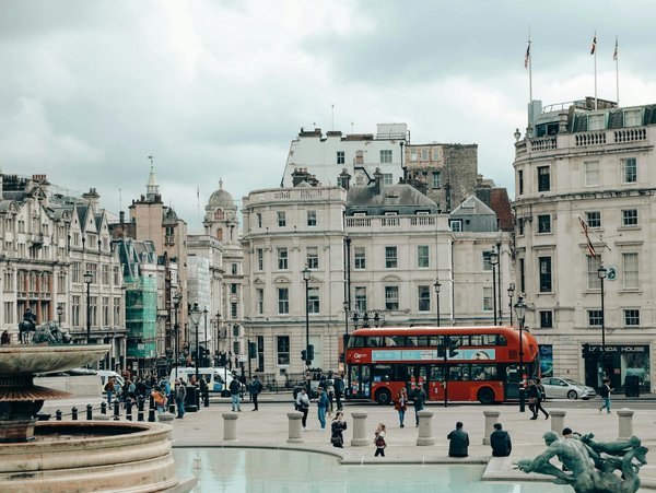 Où trouver des excursions pour observer les aurores boréales depuis un igloo en Finlande?